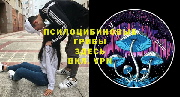 ГАЛЛЮЦИНОГЕННЫЕ ГРИБЫ Балахна