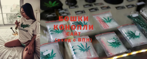 ГАЛЛЮЦИНОГЕННЫЕ ГРИБЫ Балахна