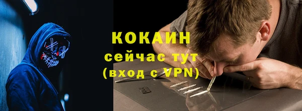 прущие грибы Баксан