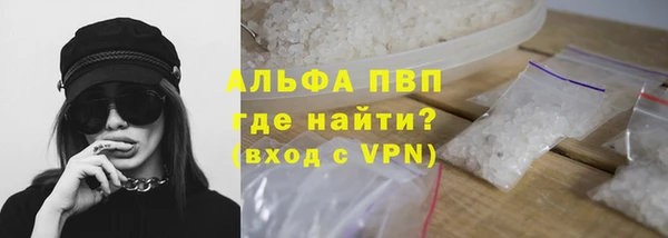прущие грибы Баксан