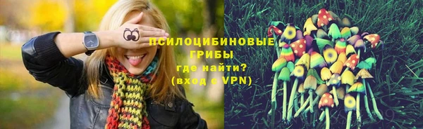 ГАЛЛЮЦИНОГЕННЫЕ ГРИБЫ Балахна